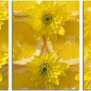 Lemon and Chrysanthemum Canvas Wall Art Modern Wall Art Yellow Pictures on Canvas Wall Art for Home Office Decorations Living Room Bedroom and Kitchen Decor 3 Pcs Framed Canvas Prints 12X16inches