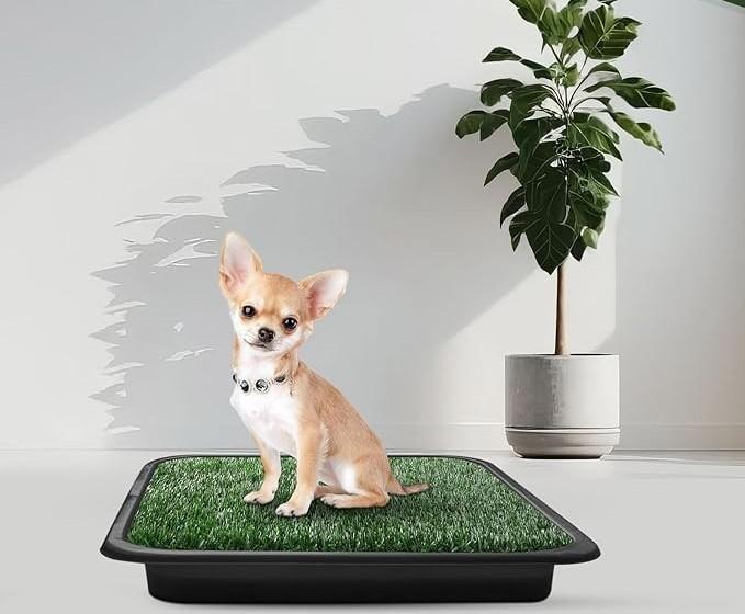 Sunnymove 2pcs Artificial Grass Artificial Grass for Dog Potty, Dog Grass Pee Pad with Drainage Holes, Replacement Turf Mats for Potty Training Washable Realistic for Outdoor Indoor Pet (Large)