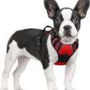 rabbitgoo Dog Harness No Pull with 2 Leash Clips, Adjustable Soft Padded, Reflective Oxford No Choke Pet Vest with Easy Control Handle for Small Dogs, Red, S