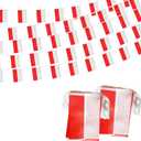 Indonesia Indonesian String Flag Pennant Banner, Small Mini Indonesia Indonesian Bunting Banner National Country Decoration for School, Party, Patriotic Festival, 66 Feet 60 Flags