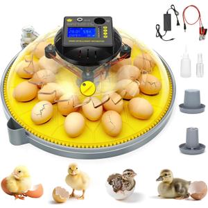 24 Eggs Incubator with Temperature and Humidity Display, Automatic Egg Turning, Automatic Water Bottle Refill, Air Vent, 4 Modes 360 View Incubator, Hatching Chicken Duck Quail Bird