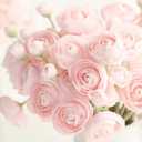 Floroom Ranunculus Artificial Flowers 18 Pcs Blush Faux Silk Mini Ranunculus Bulk Fake Wedding Filler Flowers for DIY Pink Bouquets, Centerpieces, Bridal Shower Decorations & Arrangements