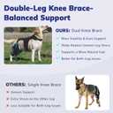 Dog Knee Brace for Back Legs 143-XLn4