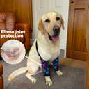 Dog Elbow Wraps Knee Protector Pads Elbow Callus Treatment Sleeve for Wounds Front Legs Prevent Licking for Medium Large Dogs 2XL, Footprint