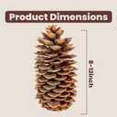 Large Pine Cones for Crafts, 912 Inch Real Natural Sugar Pinecones, Set of 3 Large Decorative Pine Cones for Vase Filler, Holiday Dcor, Rustic Table Centerpieces, DIY Wreaths Natural
