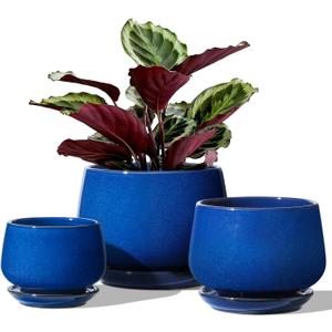 LE TAUCI Plant Pots, 4.1+5.1+6.5 inch, Set of 3, Ceramic Planters with Drainage Hole and Saucer, Indoor Flower Pot with Hole Mesh Pad, Gifts for Mom, Sapphire Blue