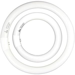 FC8T9 22W and FC12T9 32W Daylight Set , Round Fluorescent Bulb 8 inch T9 22 Watts & Circular Light Bulbs 12 inch 32 Watts kit, Circline Kitchen and Bath Fluorescent Lamp, CRI 80, DL 6500K, G10q Prong