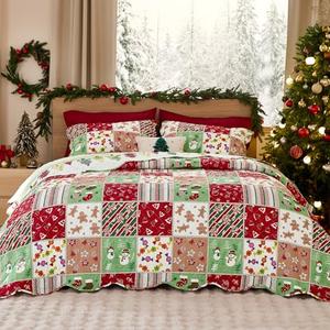 Bedsure Christmas Quilt Queen Size - Red Quilts for Queen Size Bed, Multicolor Patchwork Printed Pattern Christmas Bedding, Soft Lightweight Coverlet Bedspread (90"x96") Pillow Cases 2
