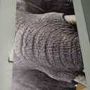 Elephant - Life Size Cardboard Cutout Standup People with Support Standee | Animals -