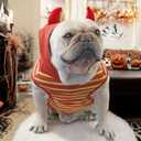 French Bulldog Clothes Halloween Costumes Shirts for Medium Dogs, Frenchie Halloween Dog Costume Tank Top Summer Shirt Hoodie Sweatshirt Christmas Birthday Party,Red Bull,2XL (XX-Large)