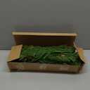 18" Real Touch Christmas Norfolk Pine Stems with Real Pine Cones,Natural Droopy Soft Bendable Artificial Pine Branches,Faux Greenery Pine Picks for Vase DIY Garland Wreath Xmas Home Decor(12Pcs)