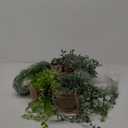 Giegxin 6 Set Mini Hanging Artificial Plant with Woven Basket Boho Fake Plants Ivy Faux Vines Eucalyptus Leaf for Indoor Home Wall Living Room Bathroom Shelf Decor (Artificial Hanging Plants)