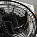 BLACK+DECKER 16" Oscillating Pedestal Fan 
