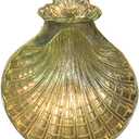 Sudbury Brass Baptismal Shell Keepsake, 5 1/ 2 Inch