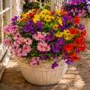 Artificial Flowers for Outdoors, 8 Bundles Faux Silk Spring Flowers for Outside for Planter Front Door Porch Yard Patio Window Box Home Decor