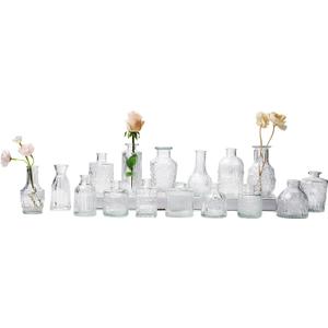 Glass Bud Vase Set of 16, Small Flower Vases, Glass Vases for Centerpieces, Vintage Home Table Decorations Bud Vases (16 Pcs, Clear)