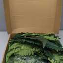 Luyue Fake Ferns Artificial Plants Sets of 2, 25" Artificial Boston Ferns for Outdoors Realistic Large Faux Fern Bush with 24 Fronds Hanging Plant for Front Porch Patio Outdoor/Indoor Home Decor