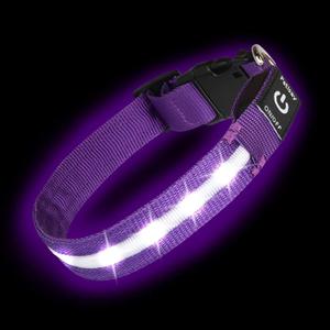 Super Bright LED Dog Collar - Fully Waterproof & Adjustable Glow Collar - USB-C Rechargeable for Night Walking, Safety - Flashing Lighted Collar for Dogs(Purple,Large) (L/XL (Width:1",Length:18.5" - 26.5"))