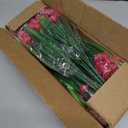 TURNMEON 20 Bundles Artificial Flowers for Outdoors, Summer Spring Grass Camellia Fake Flowers Plastic Plants, UV Resistant No Fade Faux Greenery for Gardens Porch Yards Cemetery Decor 500 Heads(Pink)