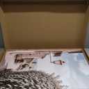 Aurlan Neutral Italy Cityscape Gallery Framed Wall Art(16"x24"), 3PCS Vintage Mediterranean Countryside Landscape Canvas Artwork, Large Town Coast Streets Travel Decor Prints for Office Home