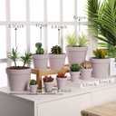 Yishang 2.5 inch Pink Terracotta Pots with Drainage Holes,Small Mini Clay Ceramic Pottery Planter,Cactus Flower Terra Cotta Pots,Succulents Nursery Pots for Indoor/Outdoor Plants,Crafts-12 Pack