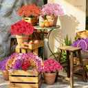 AGIRL 24 Bundles Artificial Flowers for Outdoor,Fake Flowers No Fade Plastic Faux Plants for Decoration Hanging Planters Outdoor&Indoor Garden Patio Porch Window Party Farmhouse