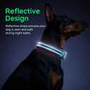 Airtag Dog Collar, Reflective Ultra-Durable Nylon Padded with QR Code Buckle & IP68 Waterproof Air Tag Holder Compatible for Apple AirTag, Comfortable for Small Medium Large Dogs (Blue, XS)