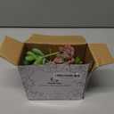 HappyHapi 12 Pcs Artificial Succulents Mini Fake Plants Unpotted Faux Succulent for Craft, Small Plastic Succulents Assortment in Flocked Green Floral Decor for Party, Cake, Garden & Outdoor