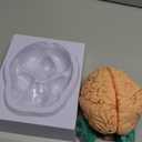 BEAMNOVA Human Brain Model for Teaching Neuroscience with Vessels Life Size Anatomy Model for Learning Science Classroom Study Display Medical Model