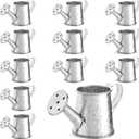 12-Pack Mini Galvanized Watering Can, Decorative Mini Watering Can for Crafts, Party Favors, Housewarmings, Garden-Theme Parties, and Home Decor (Silver, 3x1.6 in)