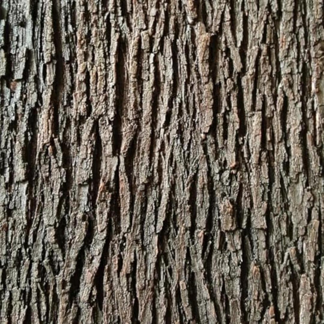 BOALORD Artificial Tree Bark - Natural Garden Mulch & Landscape Decor(19.69x39.37in/0.5 * 1m)