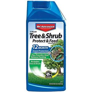 BioAdvanced 12 Month Tree and Shrub Protect and Feed II, Concentrate, 32 Oz, Outdoor Insect Killer