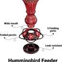Glass Hummingbird Feeders Red Wild Bird Nectar Feeder for Outdoors Hanging Leak Proof 20 Ounces with 5 Feeding Ports, Decor Backyard