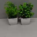 Bundle of 2 Pack Small Fake Plants Black and 2 Pack Fake Plants Small Artificial Greenery Indoor for Home Farmhouse Bathroom Shelf Decor