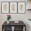 TQianJiang Set Of 3 Framed Vintage Botanical Prints Wall Art 16"11" Wildflower Pictures Wall Decor for Bedroom Bathroom Living Room Minimalist Line Drawing Neutral Tones Wall Hanging (Black)