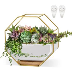 Succulent Planters 73.5 Inch Decorative Ceramic Flower Plant Pots with Metal Holder Hanging and Place Dual-Purpose Garden Planter Pot with Drainage and Saucer for Indoor Home Office Desktop