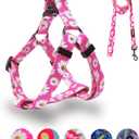 QQPETS Dog Harness Leash Set Adjustable Heavy Duty No Pull Halter Harnesses for Small Medium Large Breed Dogs Back Clip Anti-Twist Perfect for Walking (M(19"-26" Chest Girth), Daisy) (M(19"-26" Chest Girth), Daisy)
