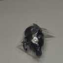 Protein Powder Container to Go - Mini with Keychain and Keyring for Water Bottles & Shakers(150ml)