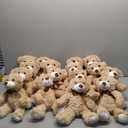 Zhanmai 16 Pcs 14 Inch Bears Stuffed Animal Bulk Gift Plush Bear Toys for Birthday Wedding Baby Shower Party Favor(Light Brown)