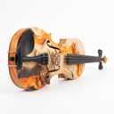 Aliyes Electric/Acoustic Violin Set for Beginners 4/4/Full-size Special Designed with Hard Case,Bow,Extra Strings -1503