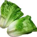 Lorigun Artificial Lettuce, Fake Vegetable, Artificial Vegetables for Decoration, Home Kitchen Decor, PU Vegetable 2 Pcs