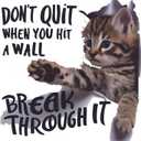Don't Quit When You Hit A Wall Break Through It Cute Cat Lover Wall Decal Wall Dcor Vinyl Sticker Size: 26 x 26