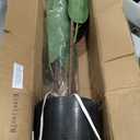 6 FT Artificial Plants Rubber Tree, Tall Fake Plant Indoor with Black Pot Large Faux Standing Fiddle Leaf Fig Floor Tree for Home Office Living Room Floor Patio Housewarming Decor