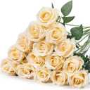 Hotop 20 Pcs Artificial Rose Flowers with Long Stem,Real Touch Silk Realistic Plastic Bouquet Roses Bulk for Home Decor Bridal Wedding Party Table Centerpieces Decorations(Champagne)