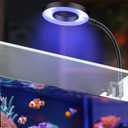 Pawfly 6 W Saltwater Aquarium Light for 3.8-11.4 L Fish Tanks Clip On LED Reef Light for Corals Dimmable LED Aquarium Light USB Moving Marine Fish Tank Light with Timer (Adapter Not Included) [Energy Class E]