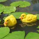 Pool Decorations Outdoor Duck Statue  Small Floating Pond Decor for Garden Outside Lawn Ornament Yellow Duckling Figurine Float Accessories Backyard