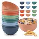HOTEC 12-PACK BPA Free Unbreakable Plastic Cereal Bowls - Microwave & Dishwasher Safe Soup Salad Camping Bowls, 26OZ, Multicolor