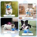 Interactive Dog Toy Ball,Automatic Moving Dog Ball with Bird Sound & Bluetooth Music,3 Play Modes Self Rolling Dog Ball,USB Rechargeable Toys for Boredom Small Medium Dogs,Not for Aggressive Chewers.