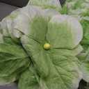 Giant Artificial Hydrangea Flowers for Outdoors, 5.9 Ft Large Faux Flowers for Decoration with Stand, Big Fake Plants for Garden Wedding Birthday Indoor Home Decor, Light Green