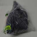 Amazon Essentials Men's Fleece Cargo Short (Large, Navy)